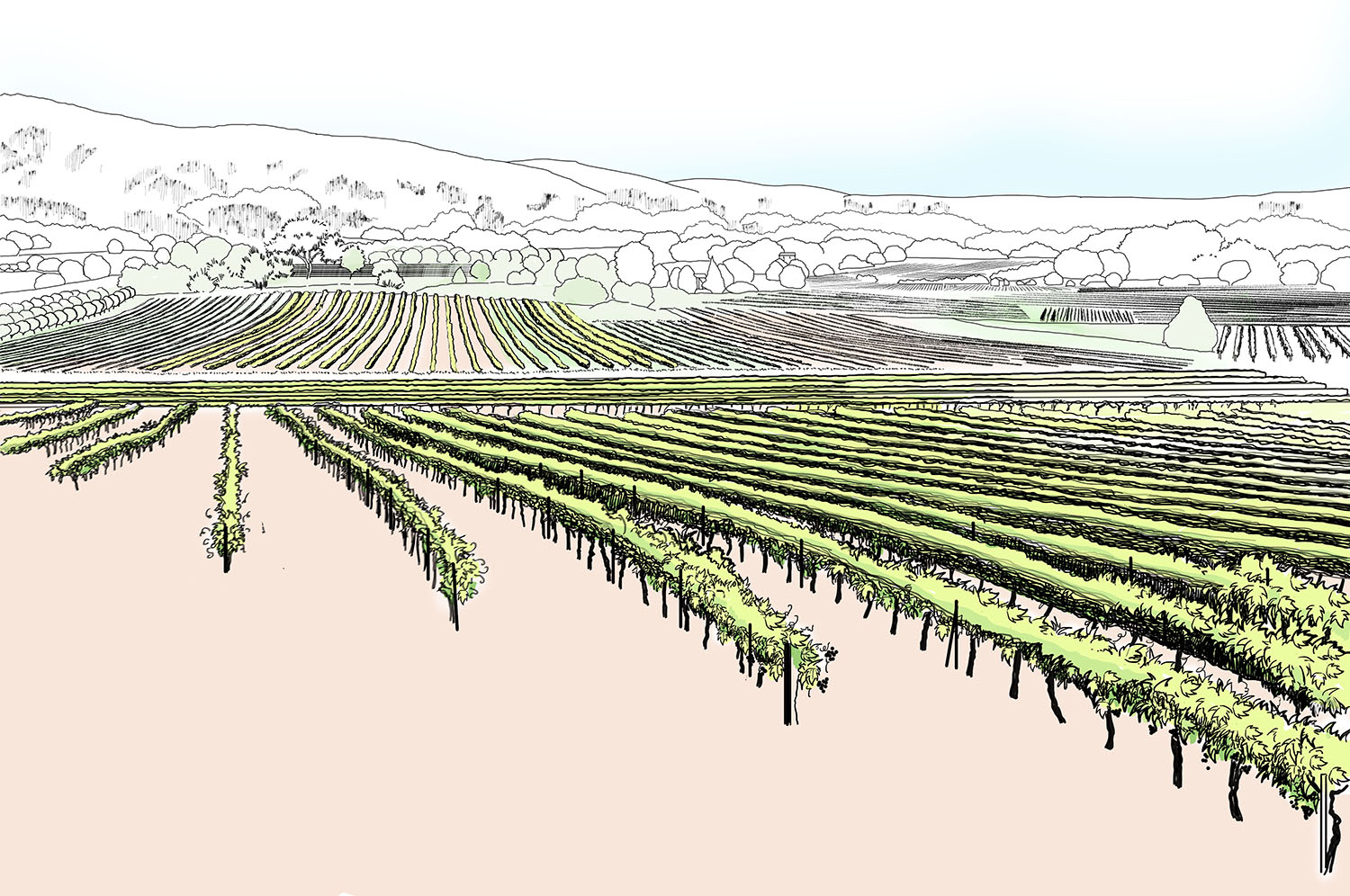 Les paysages viticoles
